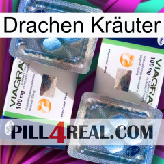 Drachen Kräuter viagra5